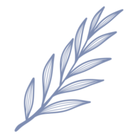 hoja de arte lineal png