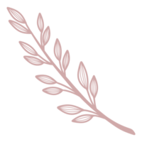 Line Art Leaf png