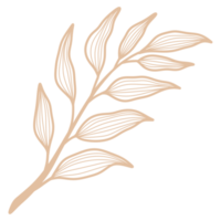 hoja de arte lineal png