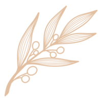 foglia d'arte linea png