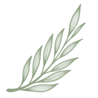 Line Art Leaf png