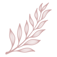 Line Art Leaf png