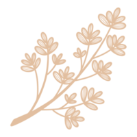 Line Art Leaf png