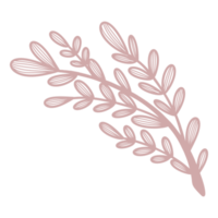 Line Art Leaf png