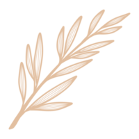 hoja de arte lineal png