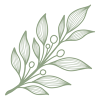 Line Art Leaf png