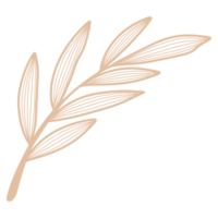 foglia d'arte linea png