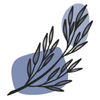 Line Art Leaf png