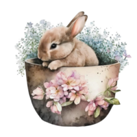 Vintage Bunny Floral Coffee Cup Watercolor Painting Style png