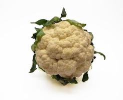 Cauliflower isolated in white background photo