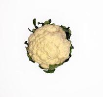 Cauliflower isolated in white background photo