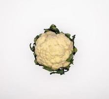 Cauliflower isolated in white background photo