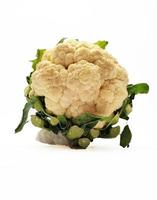 Cauliflower isolated in white background photo