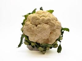 Cauliflower isolated in white background photo