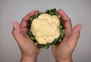 cauliflower is above both hands photo