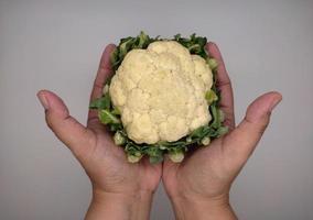 cauliflower is above both hands photo