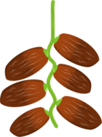 date frutta. kurma frutta png