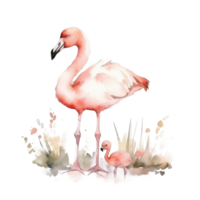 rosa vattenfärg flamingo png