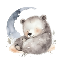 Cute watercolor night bear. png