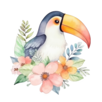 Cute watercolor toucan bird. png