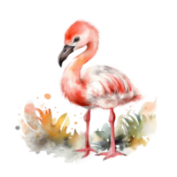roze waterverf flamingo png