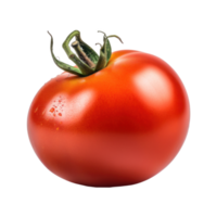 Red tomato isolated. png