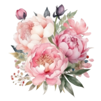 élégant aquarelle pivoine fleur bouquet. png