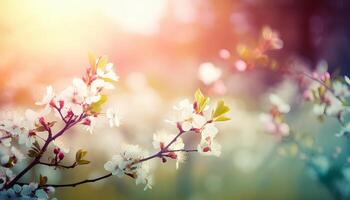 nature background with spring blooming flowers. photo