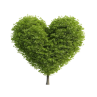 verde corazón forma árbol. png