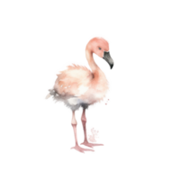 rosa vattenfärg flamingo png