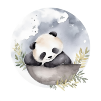 linda acuarela noche panda. png