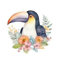 Cute watercolor toucan bird. png