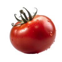 Red tomato isolated. png