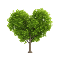 verde corazón forma árbol. png