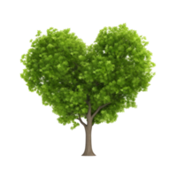 verde cuore forma albero. png