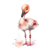 rosa vattenfärg flamingo png