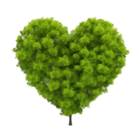 grön hjärta form träd. png