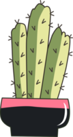 Cartoon cactus in the pots. doodle style. illustration png