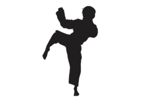 Silhouette of a Karate Kick png