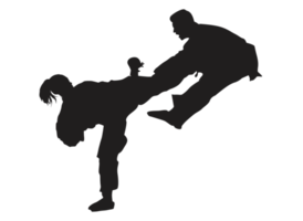 Silhouette of a Karate Kick png