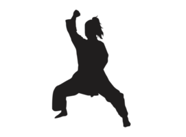 Silhouette von ein Karate Mädchen png