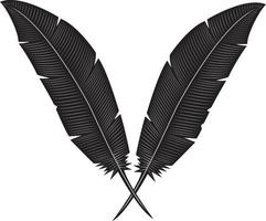 vector imagen de dos plumas