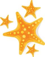 vector imagen de estrella de mar en varios tamaños