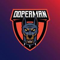 Mascot of doberman animal that is suitable for e-sport gaming logo template vector