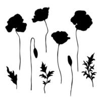 Poppy flowers buds and leaves black silhouette set on white background. Hand drawn botanical design elements collection. Vector illustration.