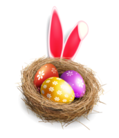 Easter eggs with a pattern in a nest with rabbit ears, design element. png