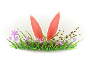 Easter composition with rabbit ears, green grass with flowers and willow branch. Element for design. png
