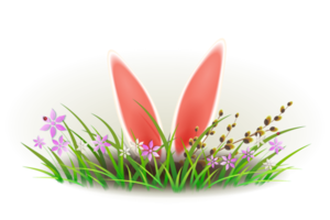 Ostern Komposition mit Hase Ohren, Grün Gras mit Blumen und Weide Ast. Element zum Design. png