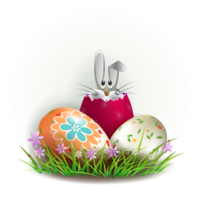 Element for design with a rabbit, Easter eggs and grass with flowers png