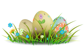Composition with wonderful Easter eggs, grass and flowers. png